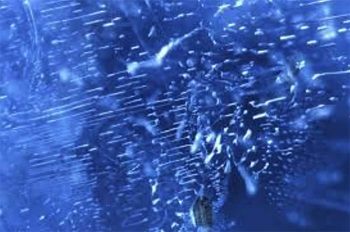 Image of Typical sapphire inclusions.